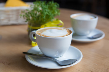 Two Cappuccino and geren plant on the background
