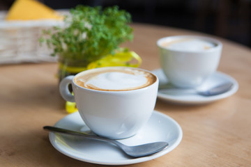 Two Cappuccino and geren plant on the background