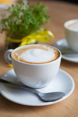 Two Cappuccino and geren plant on the background