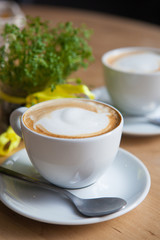 Two Cappuccino and geren plant on the background