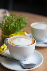 Two Cappuccino and geren plant on the background