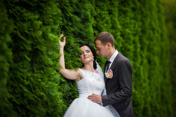 elegant stylish young happy caucasian couple on background wonde