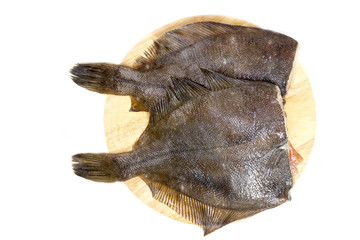 Raw fish flounder