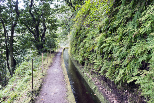 typical levade on the portugal island of Madeira