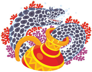 Moray