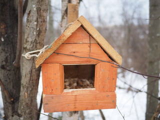 wooden trough in the forest