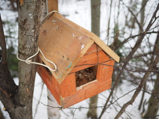 wooden trough in the forest
