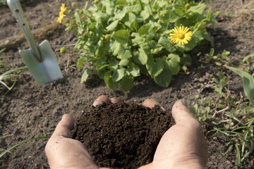 Kompost - Naturdünger in der Hand