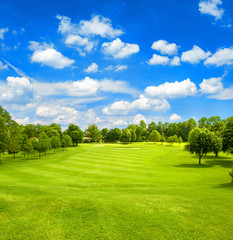 Fototapeta premium Green field and blue cloudy sky. Golf course. Fairway