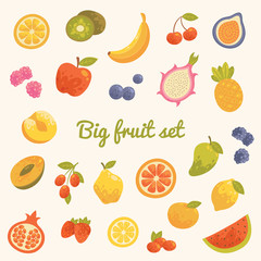 Big colorful summer set of fruits in vector. 