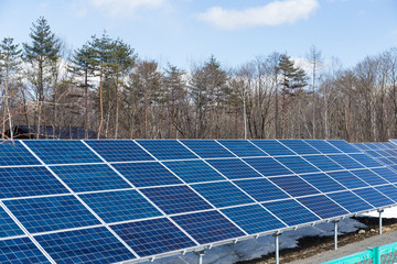 Solar panel plant