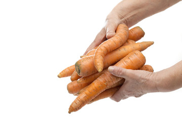 carrots on the white background