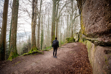 Obraz premium Young Man,Student hiking in forest.Man hiker smiling happy portrait on foggy day during a trekking trip. Back of a young man outdoors in nature on a hiker path in forest.