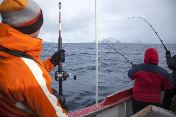 Norvegia,Isole Lofoten,pesca al merluzzo.