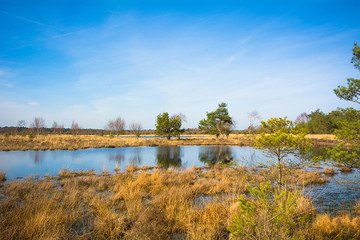 Frühlingsbeginn im Gildehauser Venn