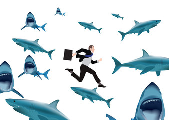 vita da squalo business