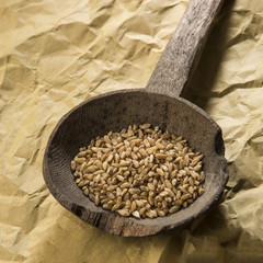 Vecchio mestolo in legno con dentro  grano duro su tovaglietta di carta , sopra tavolo in legno