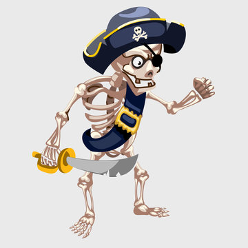 Skeleton pirate with belt and sharp sword