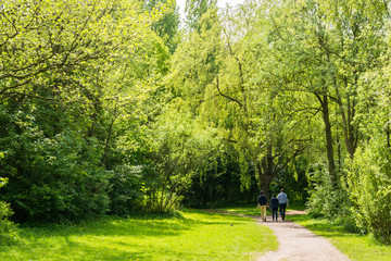 Active people walking in a park in spring