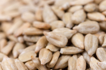 Macro view of sunflower seeds