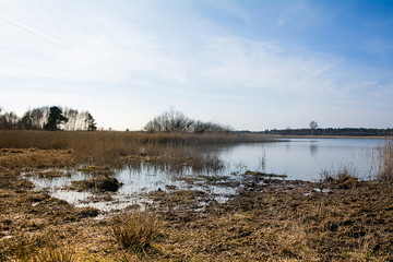Fototapeta premium Frühlingsbeginn im Gildehauser Venn