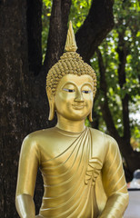 Buddha Image