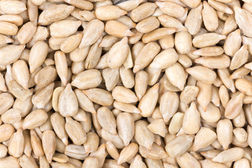 Sunflower seeds background macro photography
