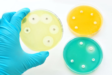 Antimicrobial susceptibility testing in petri dish
