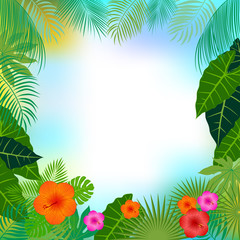 Fototapeta na wymiar Tropical jungle background with palm leaves. 