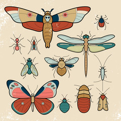 Set of insect.