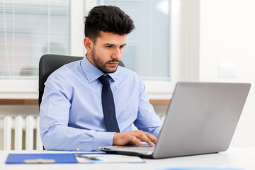 Portrait of a businessman using his laptop