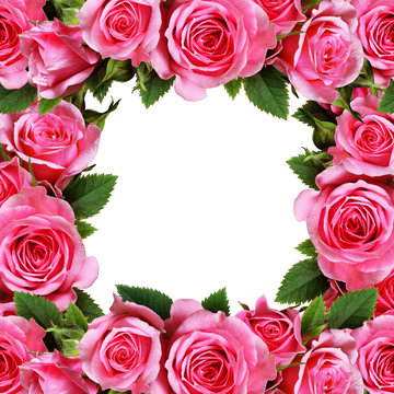 Rose flowers frame