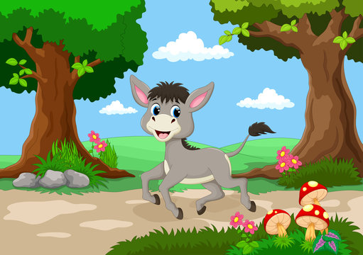 Funny donkey with a background of a beautiful garden