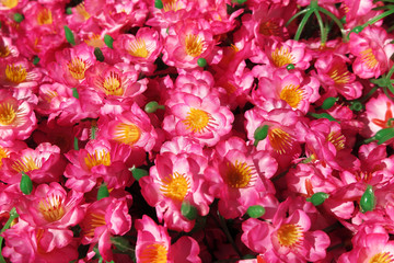 Pink tree artificial flowers laying under the tree