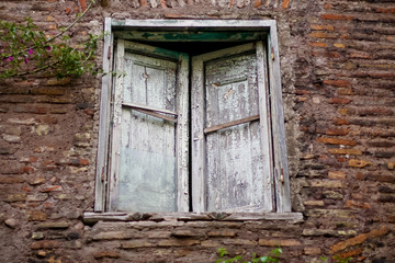 Old window shutter