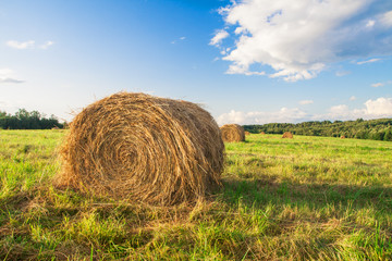 hay bales in a field