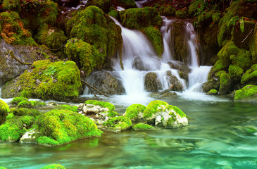 Mountain stream among the mossy stones