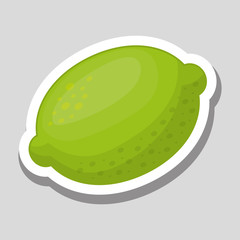 fruit icon design , vector illustration
