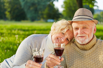 Glückliches Paar Senioren trinkt Rotwein im Garten