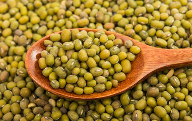Mung Beans in wooden spoon isolated