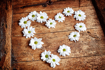Obraz na płótnie Canvas Rustic Valentines heart of white spring daisies