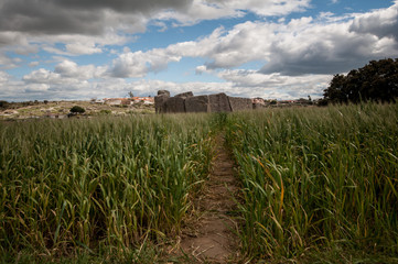 Dolmen de Magacela © myriamnavas