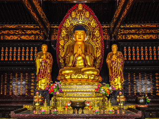 Obraz premium Golden Buddha and Disciples - Xian, China