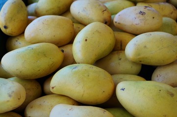 Fresh mangoes at a road stand in Maui, Hawaii
