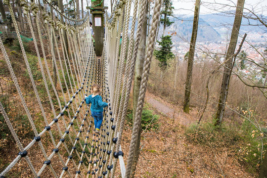 Baumkronenweg Waldkirch Tree Top Walk