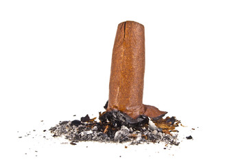 Cigar with ash isolated on a white background