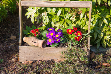 Blumenkiste mit Amphore