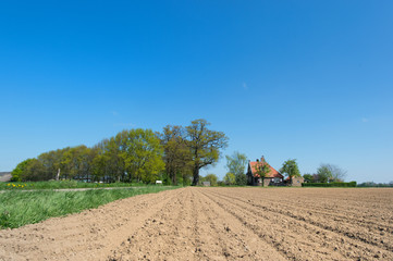 Fototapeta na wymiar Agriculture in Holland