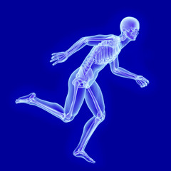 Fototapeta na wymiar X-ray anatomy of running man