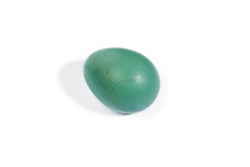 egg about to hatch